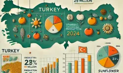 2024 Yılında Türkiye'nin Tarımsal Üretim Rakamları Açıklandı