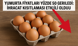 Yumurta Fiyatlarında Sert Düştü