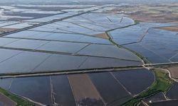 2026 Yılı Tarıma Ayrılan Bütçe 888 Milyar Lirayı Aştı