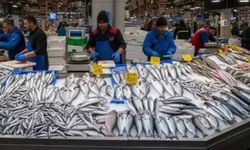 Türkiye Su Ürünleri Üretiminde 1 Milyon Tonu Aştı