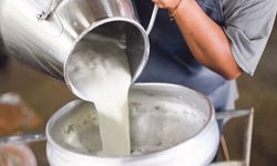 Çiğ Sütte Tavsiye Fiyat Açıklandı: Litre Başına 22,22 Lira