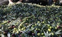 Kırsal kalkınma için 65,5 milyar liralık yatırım planı