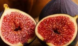 Dünyanın En İyi İnciri Türkiyeden