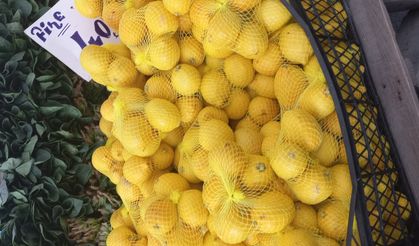 Limon ihracatı 8 Nisan da geçici olarak durduruluyor.