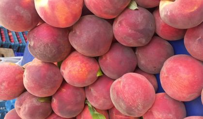 Şeftalide Rekolte Düşüşü Fiyatları Katladı