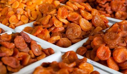 Malatya’dan 76 Bin 926 Ton Kuru Kayısı İhracatı