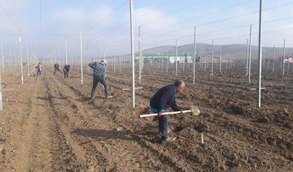 İşlenmeyen Tarımsal Araziler Devletten Kiralanabilecek