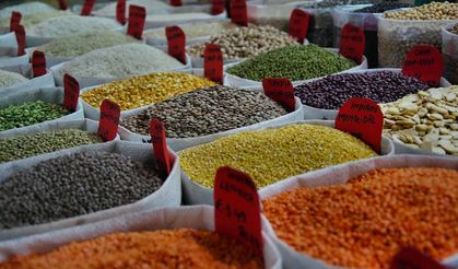 Rekabet Kurulu'ndan Tohum Sektörüne Soruşturma