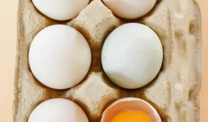 Mevsim Gereği Yumurta Fiyatları Yükseliyor