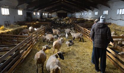 Kadın ve Gençler İçin Özel Destekte Son Gün