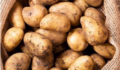 Patates İhracat Artışı Ocak-Şubat Döneminde 114 Arttı