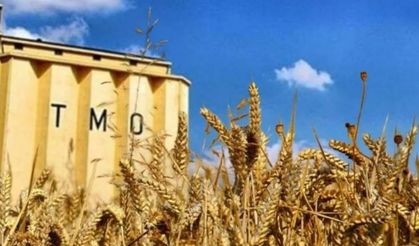 Türkiye ve Dünyada Gıda İsrafına Dair Çarpıcı Gerçekler