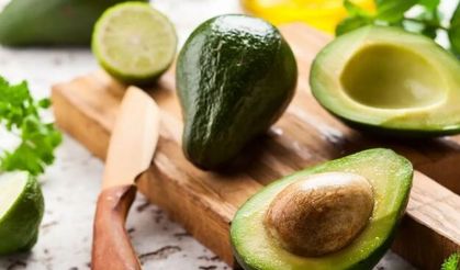 Alanya: Türkiye’nin Tropikal Meyve Üssü Olma Yolunda