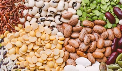 Hububat ve Bakliyat İhracatında Gelir Artışı