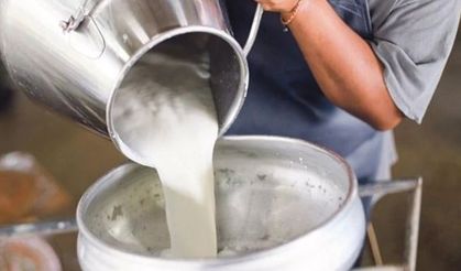 Çiğ Sütte Tavsiye Fiyat Açıklandı: Litre Başına 22,22 Lira