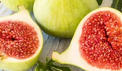 Dünyanın En İyi İnciri Türkiyeden