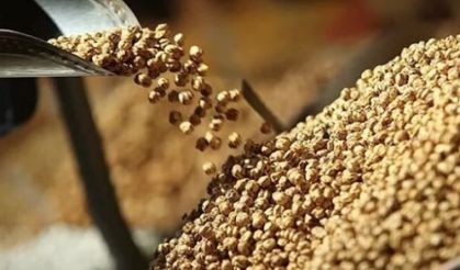 Leblebiden Diyet Yapanlara İyi Haber