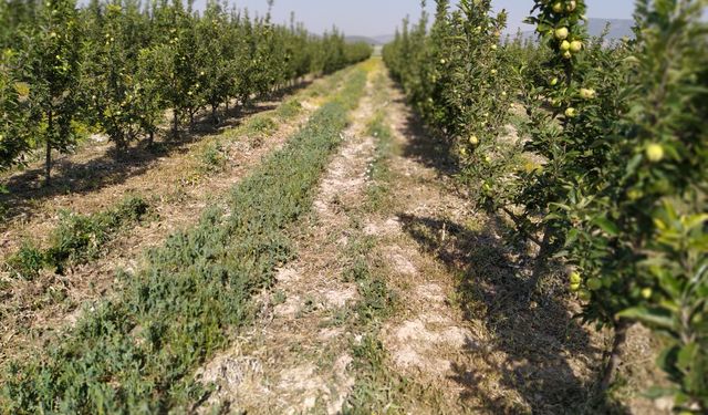 Tarım Arazisi Sahipleri Dikkat! 1 Eylül’de Başlıyor