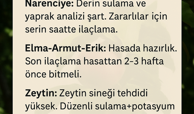Ağustos Ayında Tarımsal Üretim: Bahçelerde Son Viraj