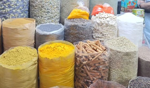 Bitkilerle Konuşan Adamlar ve Aktarlık