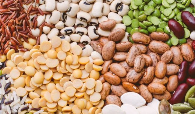 Hububat ve Bakliyat İhracatında Gelir Artışı