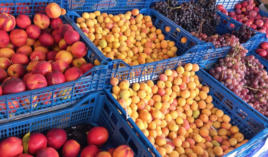 Hal Yasasında Yeni Uygulama Geliyor
