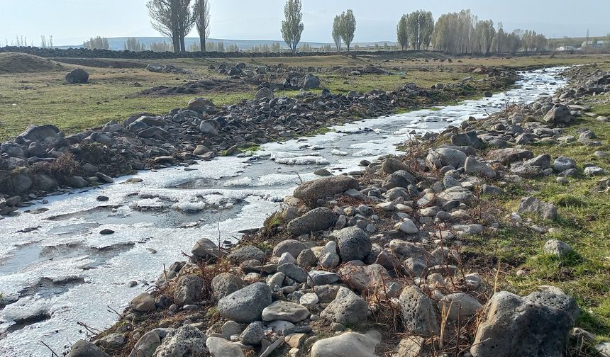 Zirai Don Meyvecilik Üretimini 7 Milyon Ton Azalttı