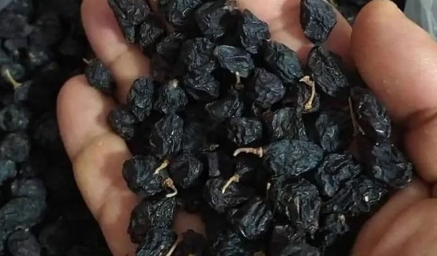 Kuru Üzüm Alım Fiyatı Açıklandı: Kilogramı 120 TL