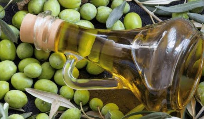 Sofralık Zeytin İhracatında Cumhuriyet Tarihi Rekoru