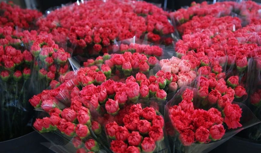 Türkiye’nin Çiçek İhracatı 2025’te Rekor Kırdı