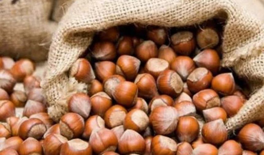 Zirai Don Fındık Fiyatlarını Uçurdu