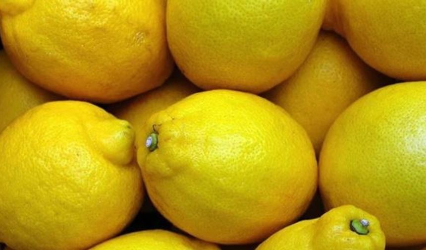 47,5 Derece Sıcaklık Narenciye bahçelerini vurdu.