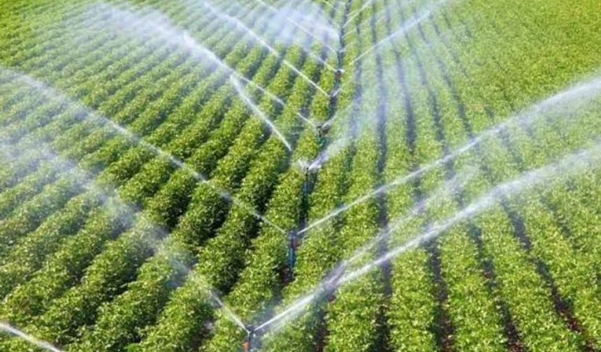 Kırsal Kalkınmaya Büyük Destek: Başvurular İçin Son Günler