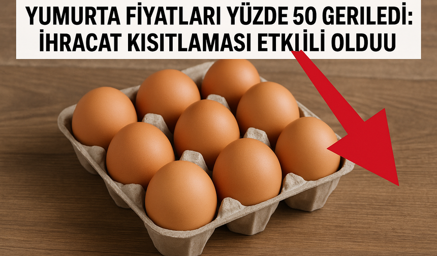 Yumurta Fiyatlarında Sert Düştü