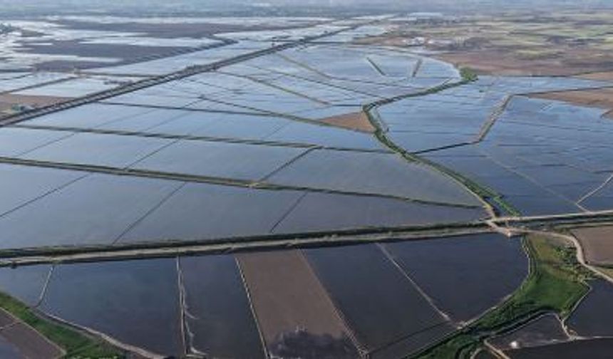 2026 Yılı Tarıma Ayrılan Bütçe 888 Milyar Lirayı Aştı