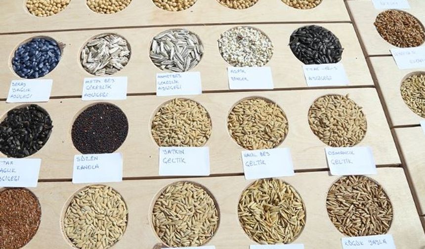 Sertifikalı Tohumluk  1 Milyon 300 Bin Tona Yükseldi