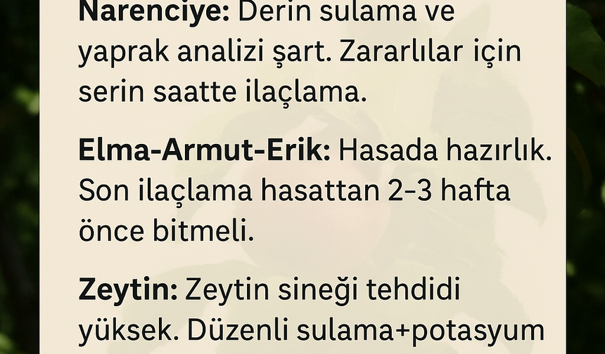 Ağustos Ayında Tarımsal Üretim: Bahçelerde Son Viraj