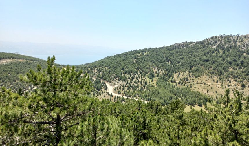 14,9 Milyon Fidan Toprakla B buluştu