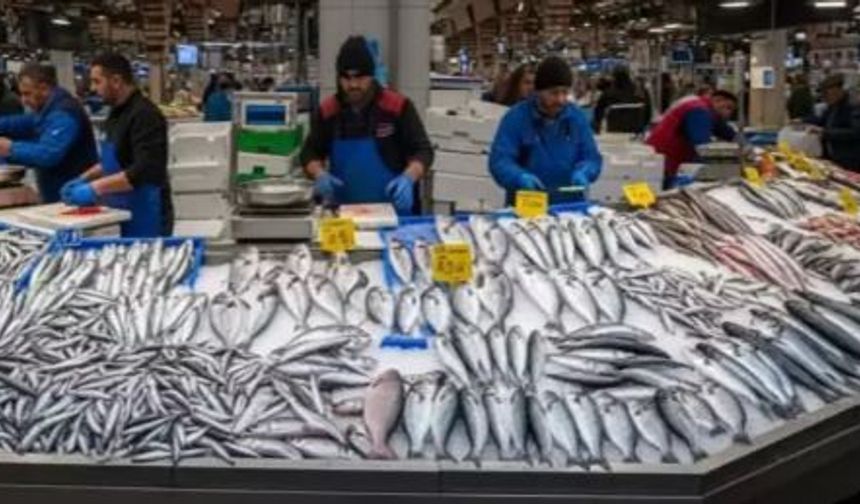 Türkiye Su Ürünleri Üretiminde 1 Milyon Tonu Aştı