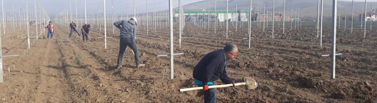 Hürmüz’deki kriz gübre ve tahıl ticaretini vurdu