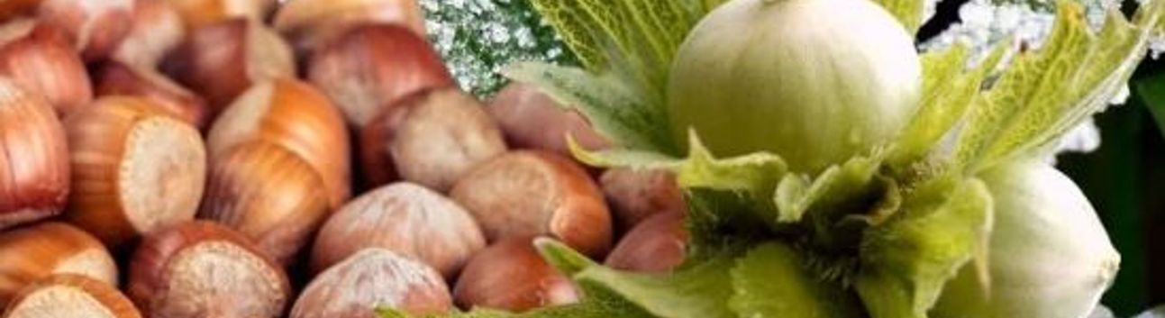 Tarım Sektörü 2026 yılına ihracat artışıyla başladı