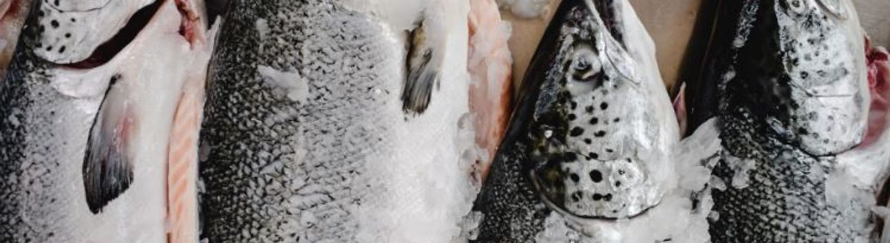 Su Ürünlerinde Rekor: İhracat 2,2 Milyar Dolara Ulaştı