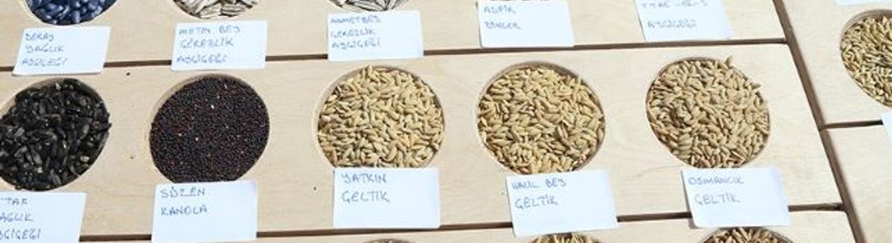 Sertifikalı Tohumluk  1 Milyon 300 Bin Tona Yükseldi