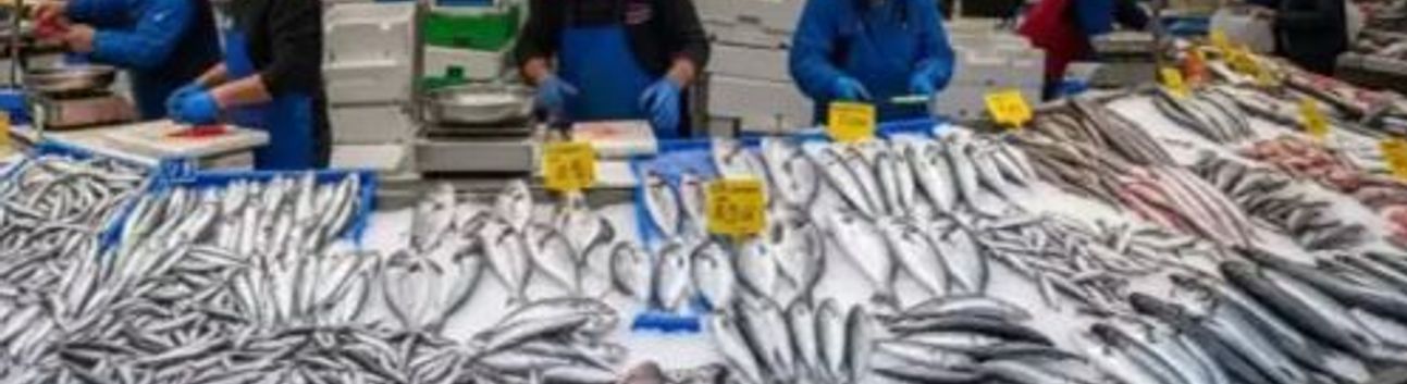 Türkiye Su Ürünleri Üretiminde 1 Milyon Tonu Aştı