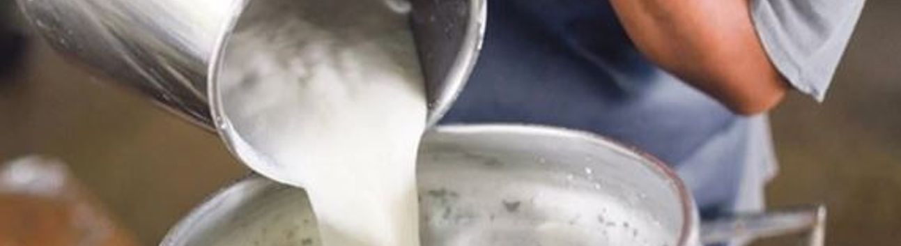 Çiğ Sütte Tavsiye Fiyat Açıklandı: Litre Başına 22,22 Lira