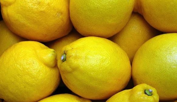 2025’te Bitkisel Üretimde Gerileme, Meyvede Büyük Kayıp